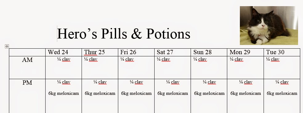 medication chart example