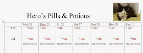 medication chart example