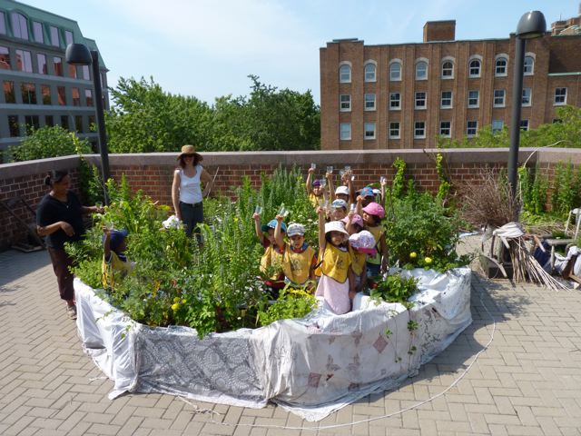 Table de Biodiversité : Verdir - Nourrir du 24 mai au 15 octobre 2012