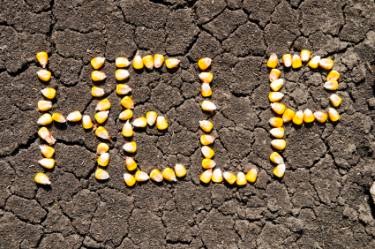 food production
