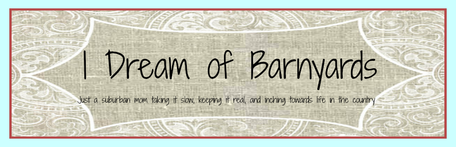 I Dream of Barnyards
