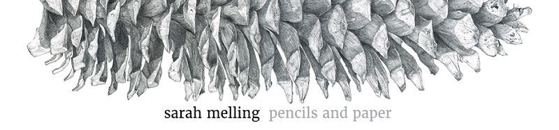 Sarah Melling: Pencils and Paper