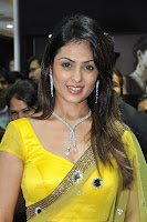 Anjana, Sukhani, -, Hot, in, Transparent, Yellow, Saree