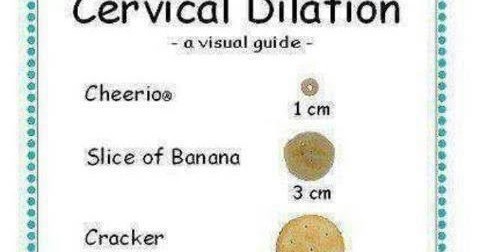 Diary of a Fit Mommy: Easy Cervical Dilation Guide