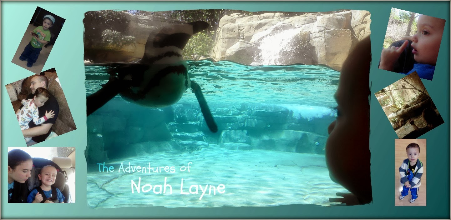 The Adventures of Noah Layne