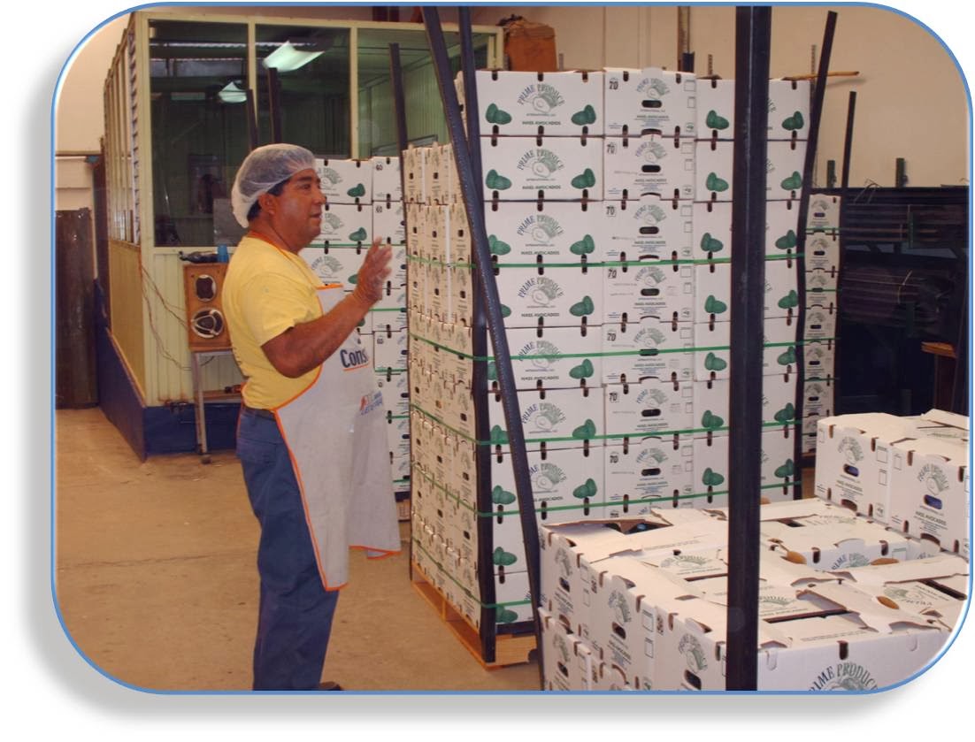 Maestría en Administración.: 2.-Estrategias genéricas de las empresas