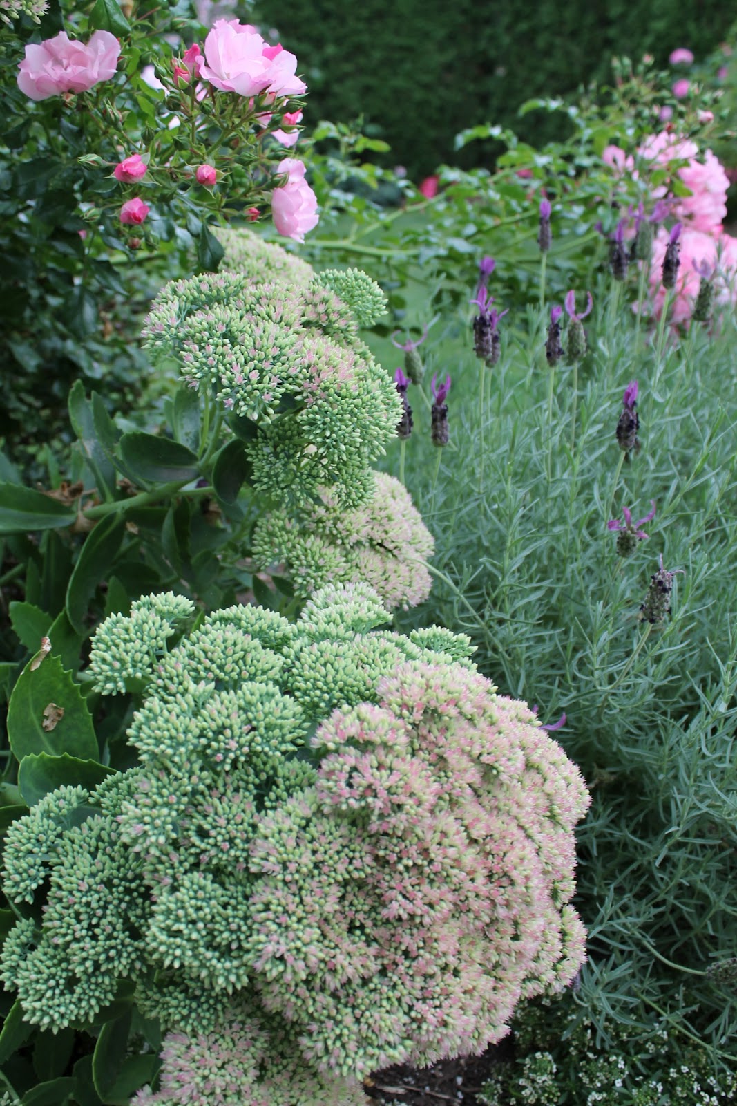 The Labor Day Flour...Flower Tour