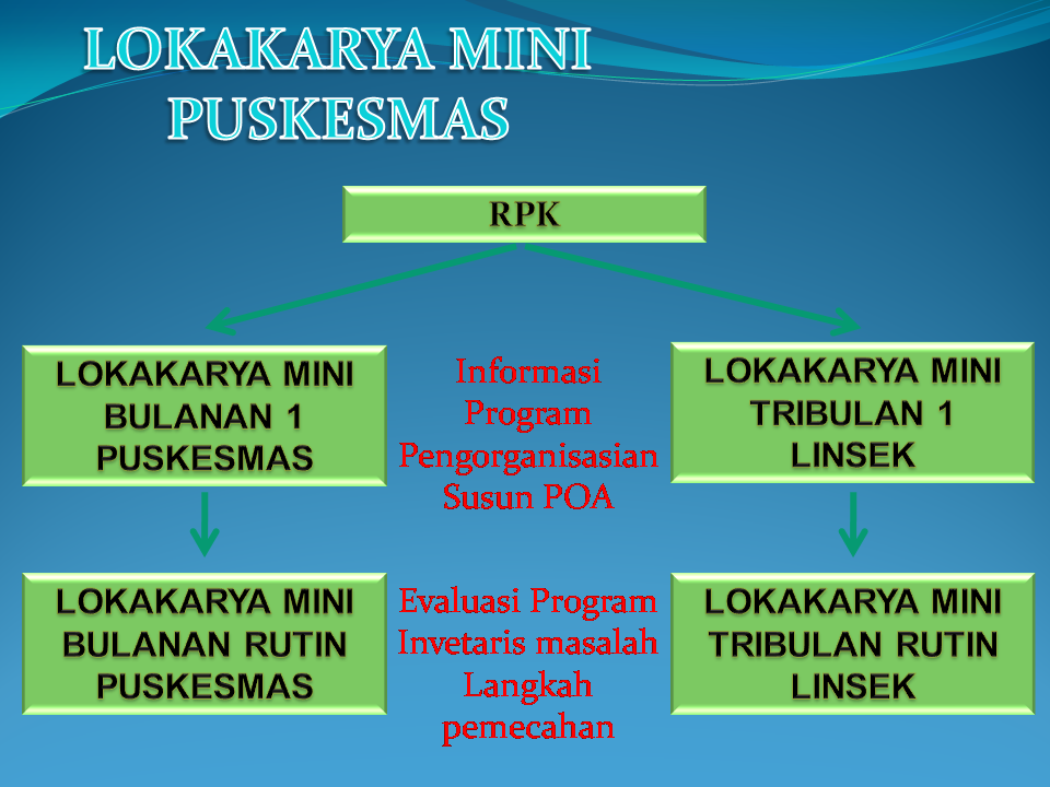 Elearning Managemen Kesehatan Masyarakat Lokakarya Mini