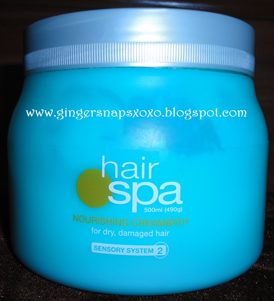 GingerSnaps- Indian Lifestyle Blog| Indian Beauty Blog| Indian Makeup