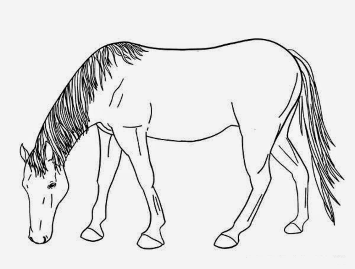 Horse For Kid Coloring Drawing Free wallpaper