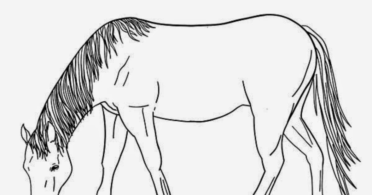 Colour Drawing Free Wallpaper Horse For Kid Coloring