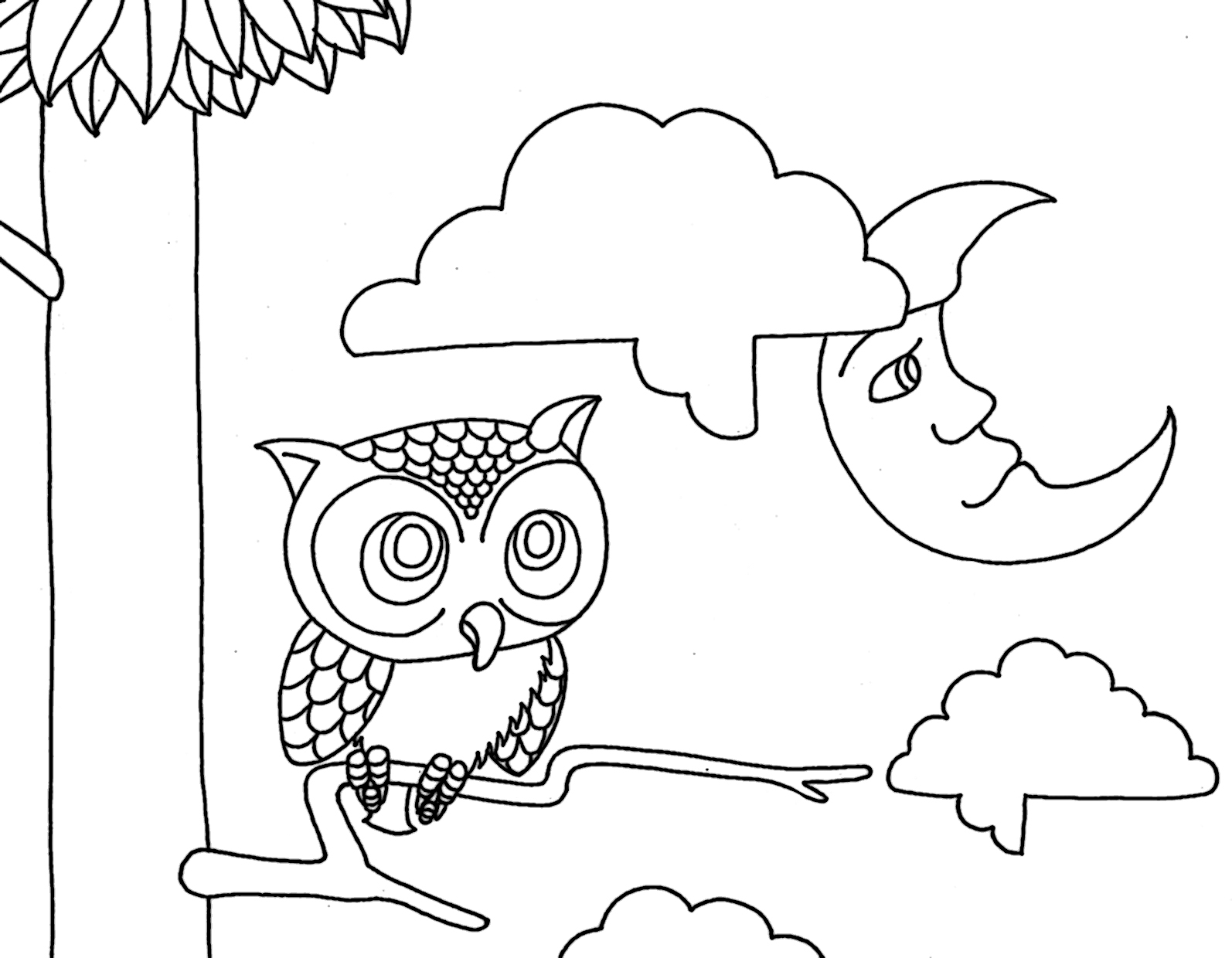 Owl Coloring Sheets