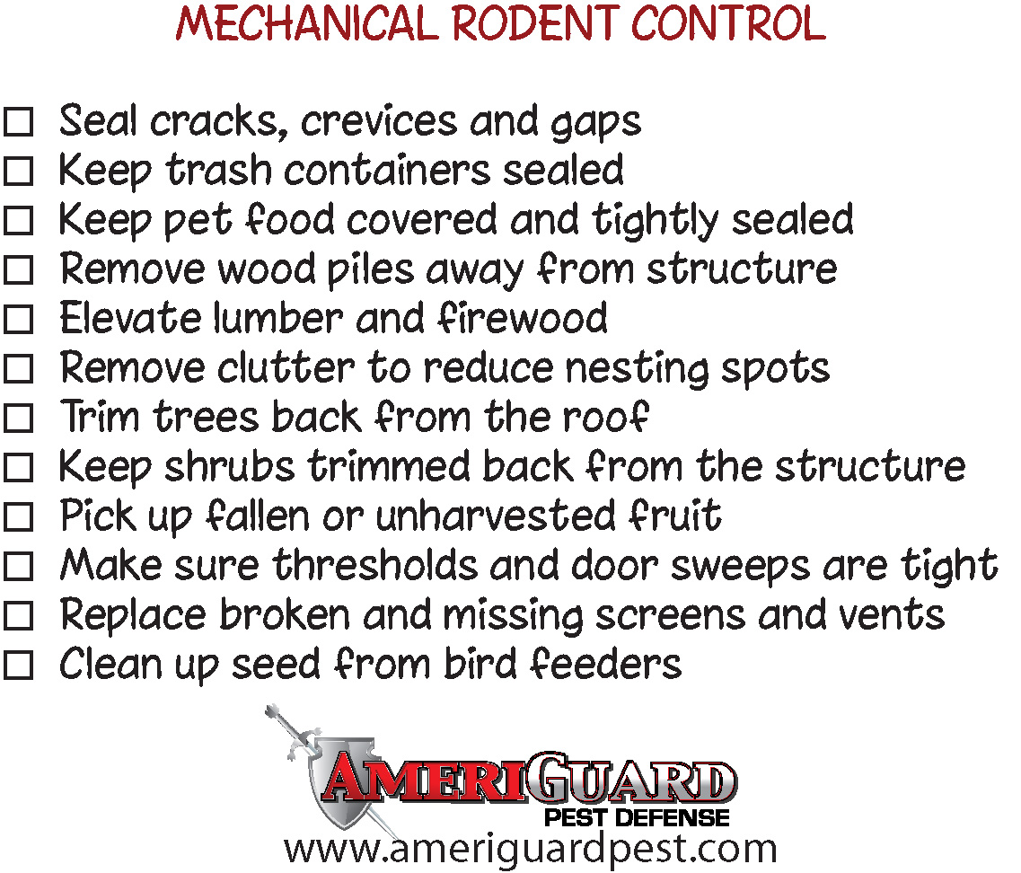 Pest, Termite, Gopher control in Temecula, Murrieta, Hemet, Moreno