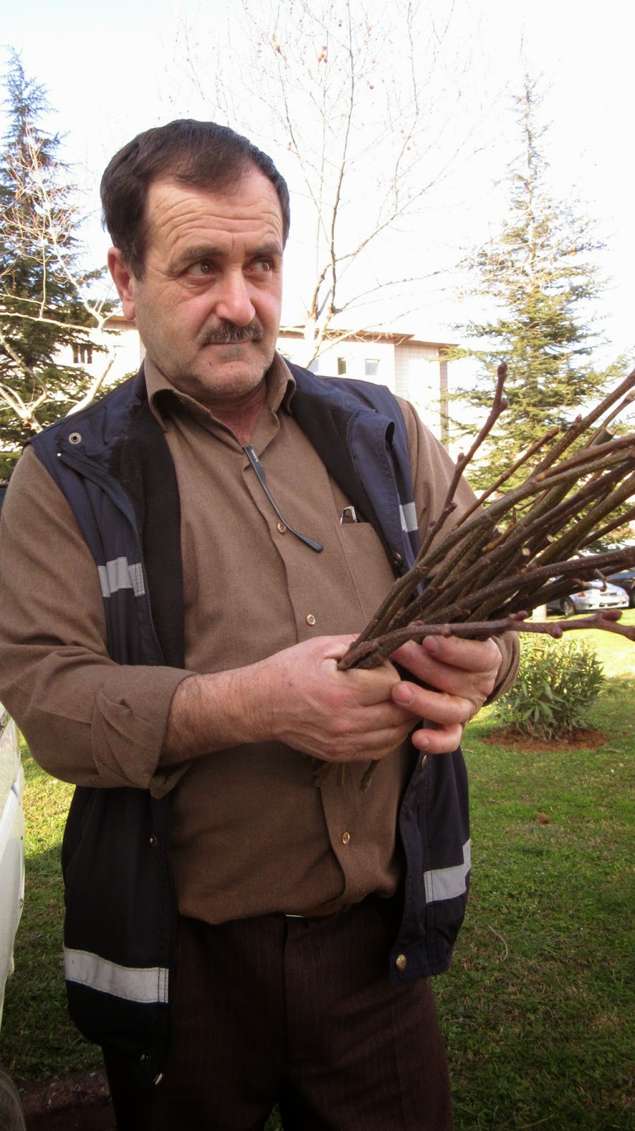 ARICI ALİ TÜRK VE ARICILIK BİLGİLERİ: ARICILIK VE SERT BİR KIŞ...