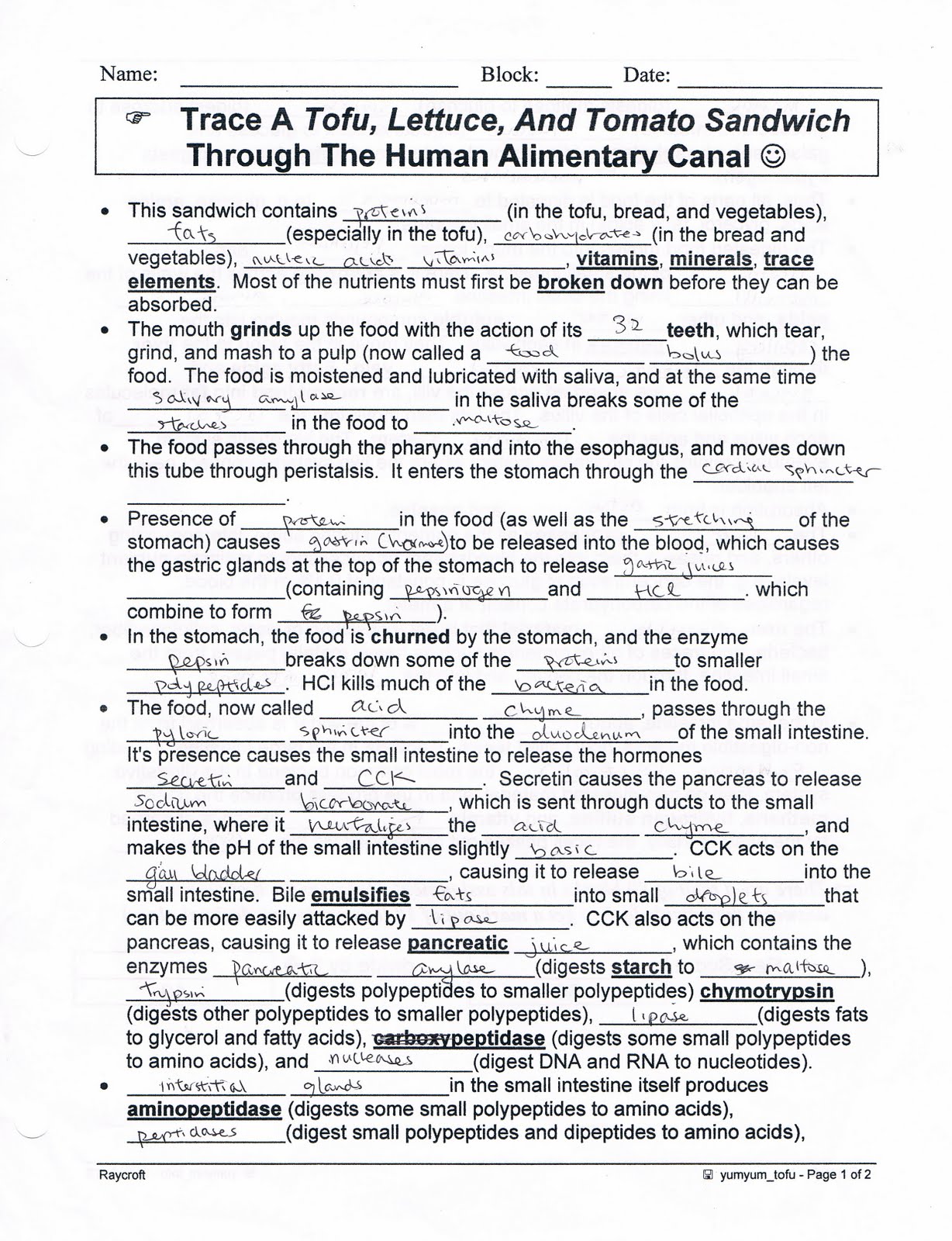 protein summary The human body can't store protein summary proteins are made up of chains of smaller chemicals called amino acids the human body cannot store amino acids. protein summary The human body can't store protein summary proteins are made up of chains of smaller chemicals called amino acids the human body cannot store amino acids.