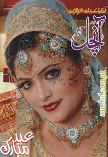 Urdu Digest August 2013 Free Download