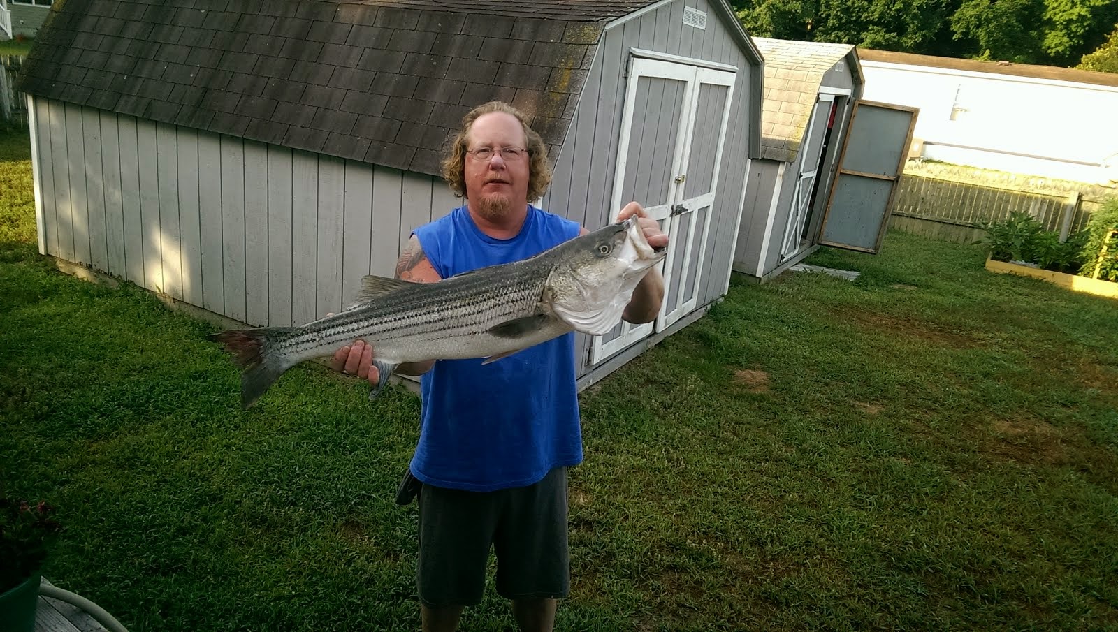 Nice Striper!