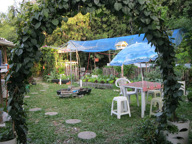 jardim de horta e pomar:Plantando o Verde e o Verbo: Horta, pomar e paisagismo natural : Nosso jardim de horta e pomar:Plantando o Verde e o Verbo: Horta, pomar e paisagismo natural : Nosso