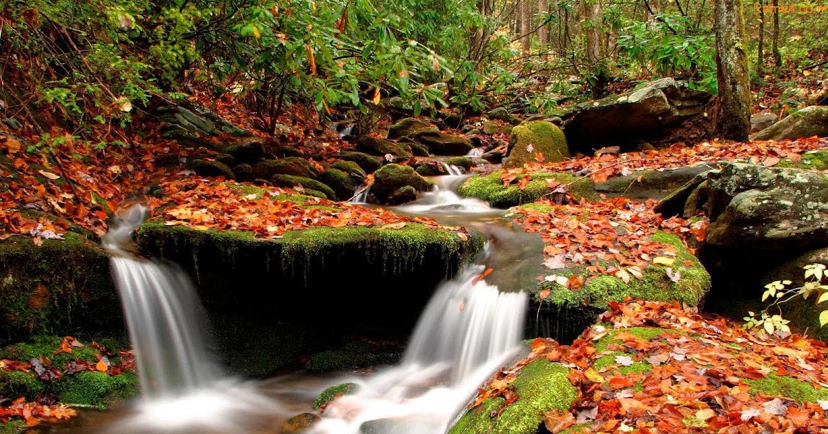 Amazing Nature Wallpapers ~ Amazing Wallpapers