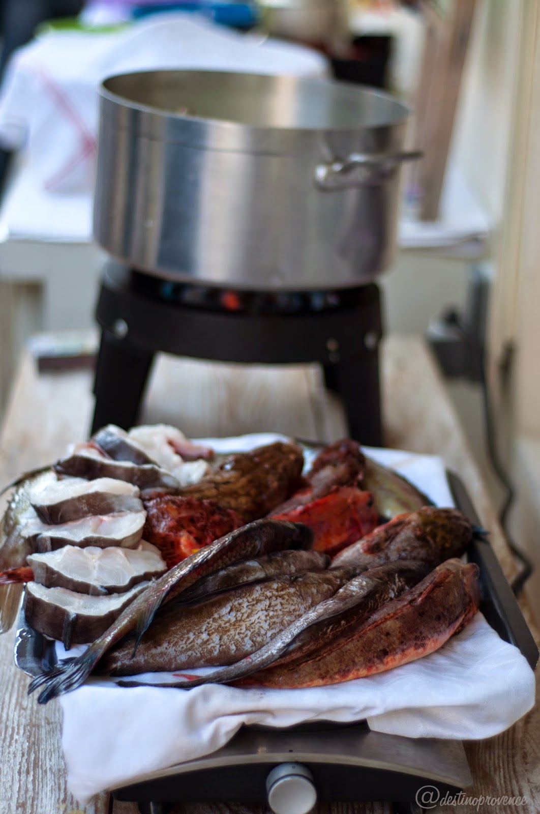 Bouillabaisse