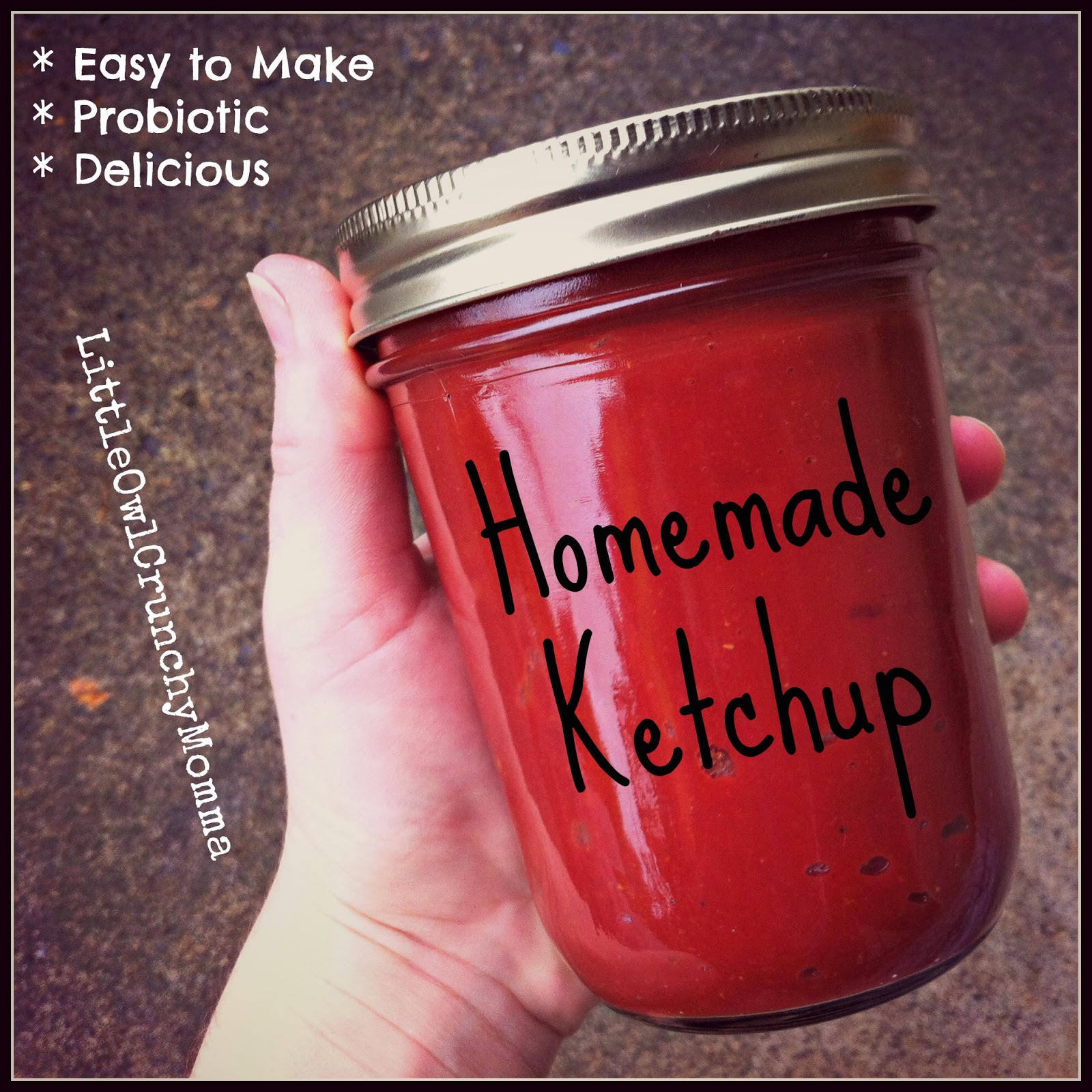 LittleOwlCrunchyMomma Easy Homemade Ketchup