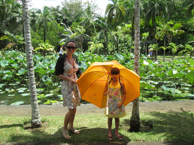 blog.oanasinga.com-going-halfway-across-the-globe-from-san-francisco-on-the-mauritius-island-29