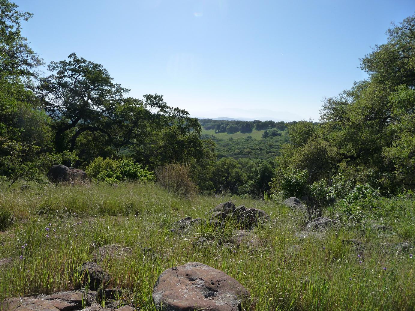 Here and There Santa Rosa Plateau