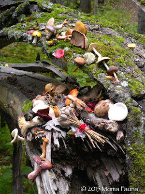 Mushroom Moon Shrine, 2015. Que Será, Será