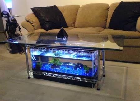 Desain Rumah Desain Aquarium Air Tawar