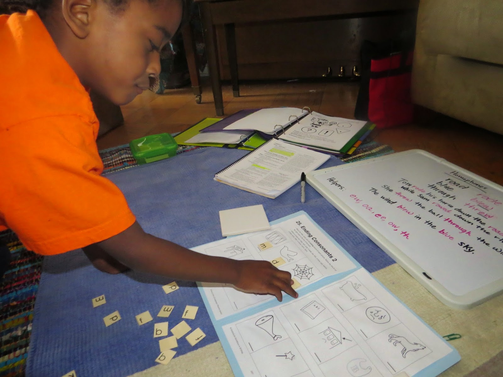 Humanities essay structure image