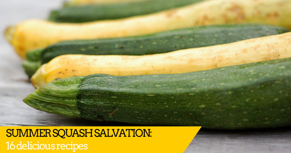 16 Zucchini Recipes to Inspire The Garden of Eating