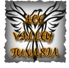 ACE VALLEY FUNASIA
