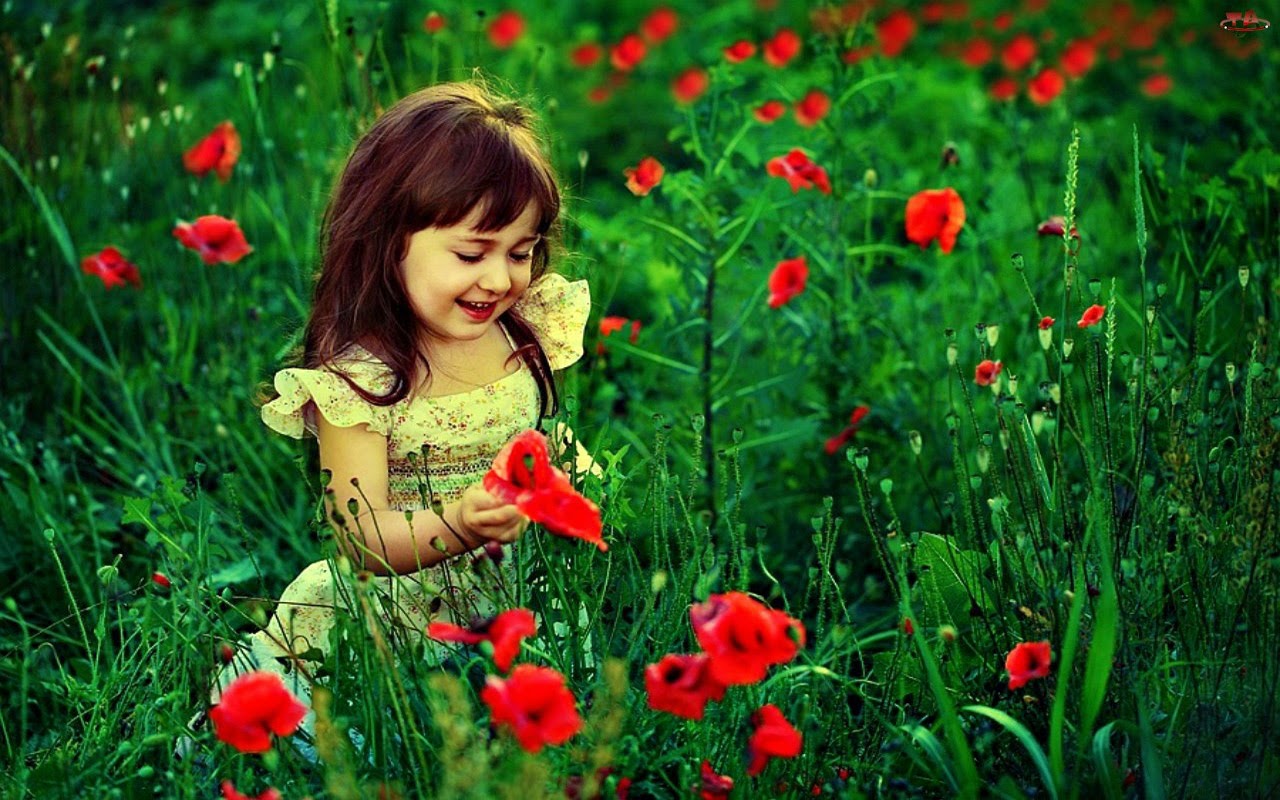 Kumpulan Gambar Foto Bayi Bayi Cantik Dan Keren Bermain Bunga 2015 Kumpulan Gambar Foto Bayi Bayi Cantik Dan Keren Bermain Bunga 2015