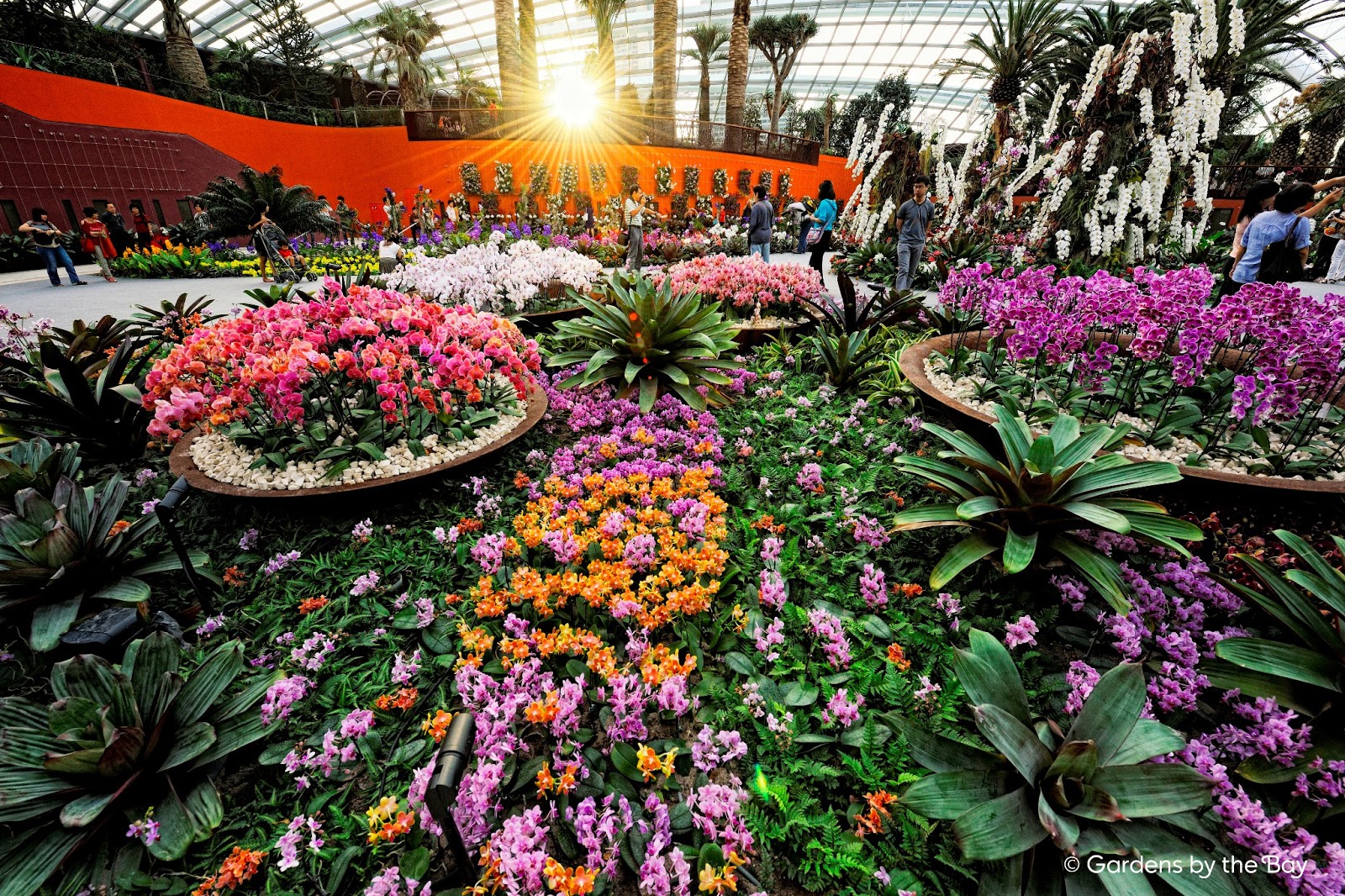 la buena vida singapore in photos gardens by the bay la buena vida singapore in photos gardens by the bay