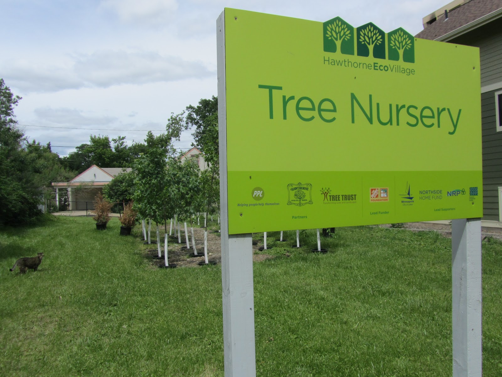 Hawthorne Voices (Drum Roll Please) Announcing the 2012 Tree Nursery