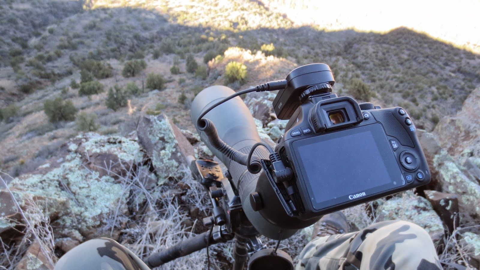 Digiscoping Swarovski ATX Spotting Scope with TLS APO Adapter Jay