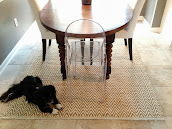 #6 Carpet for Interior Design Ideas