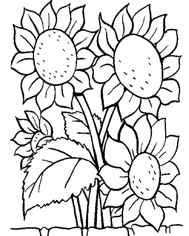 Flower Coloring Pages Free For Kids Spring Flowers