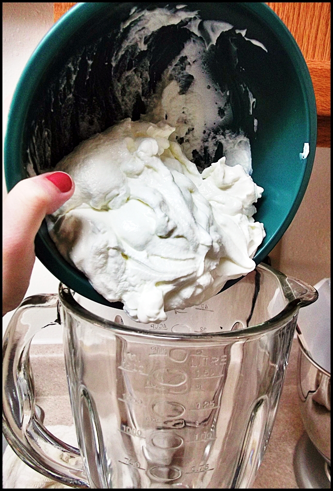 Bright Sycamore Recipe Frozen Yogurt