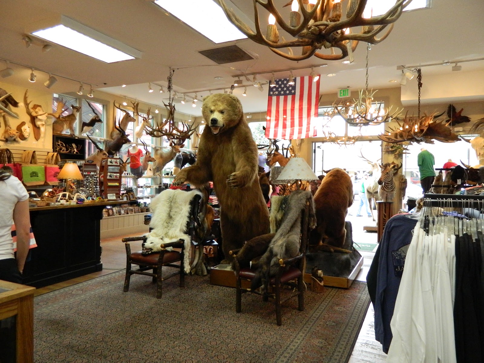 PolkaDotty Place Jackson Hole, WY Downtown