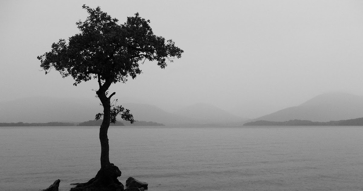 loneliness a symbol of a lonely man....