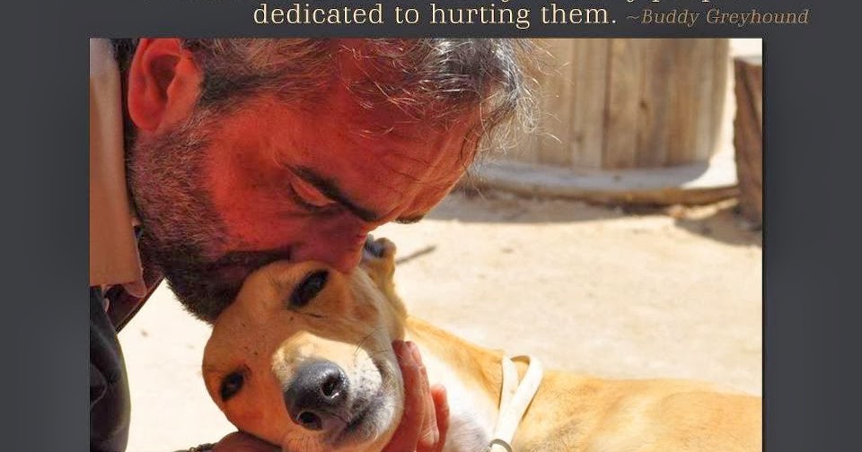 Animals 4Ever December 6 petitions and more