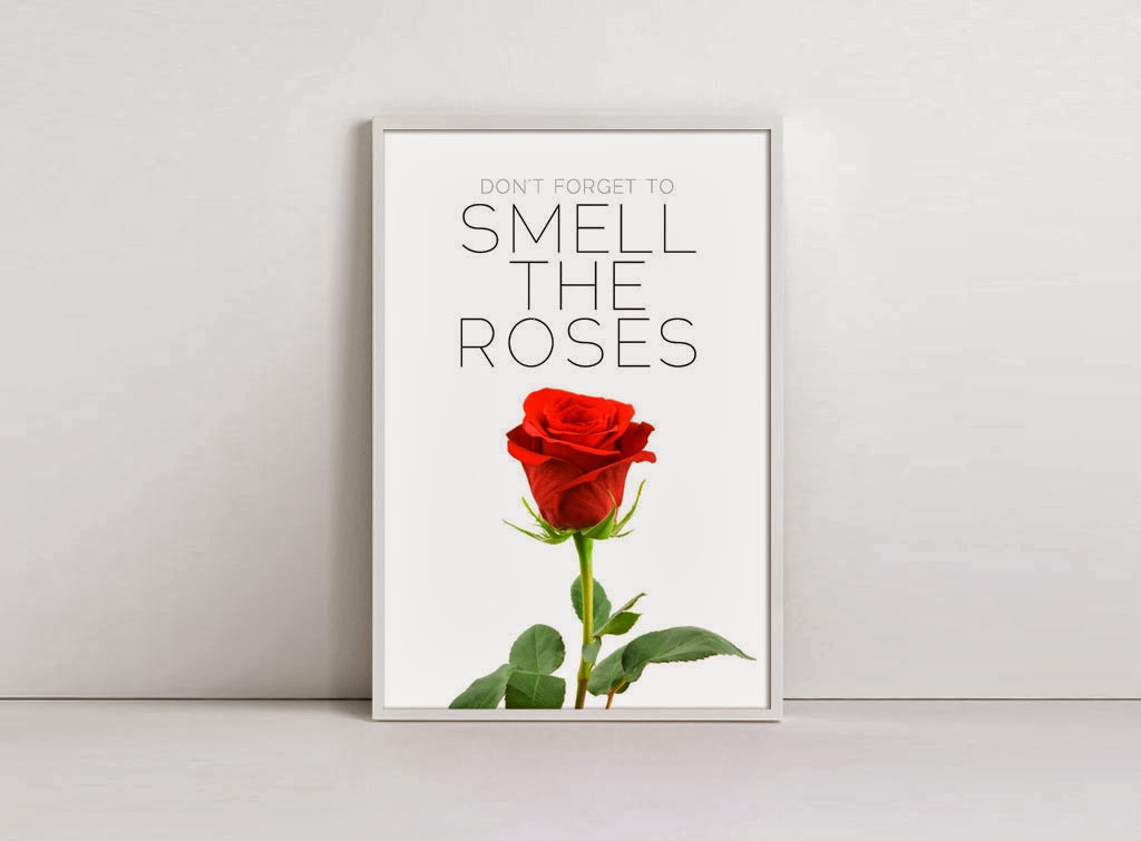 Don't to smell the roses Latest art & design work Stuart