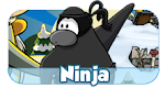 Como se tornar um ninja?