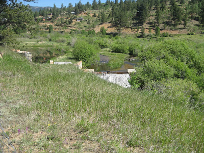 Homestead Pictures Thread.. - Homesteading Questions