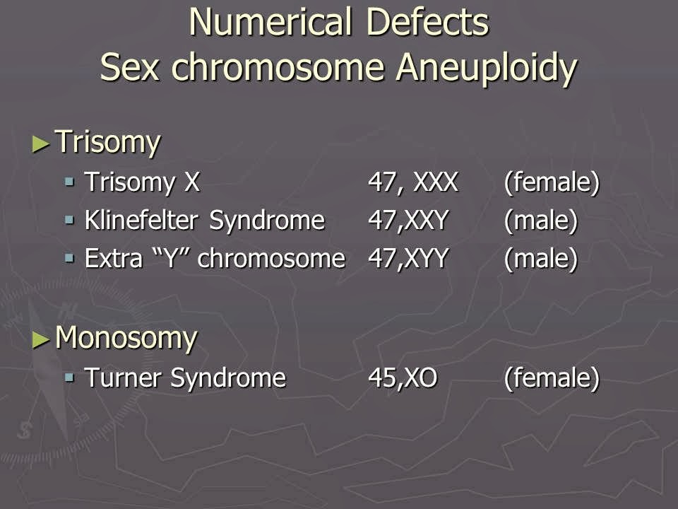 Slide 20