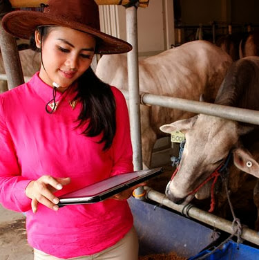 Masyarakat Jakarta Butuh 43.845 Ekor Hewan Qurban