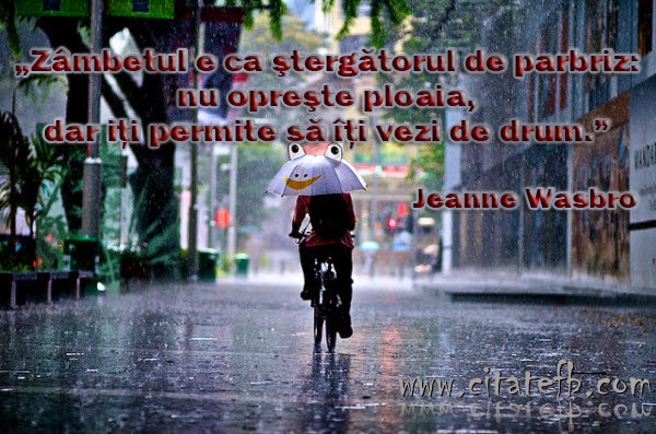 Zâmbetul e ca ștergătorul de parbriz Citate si