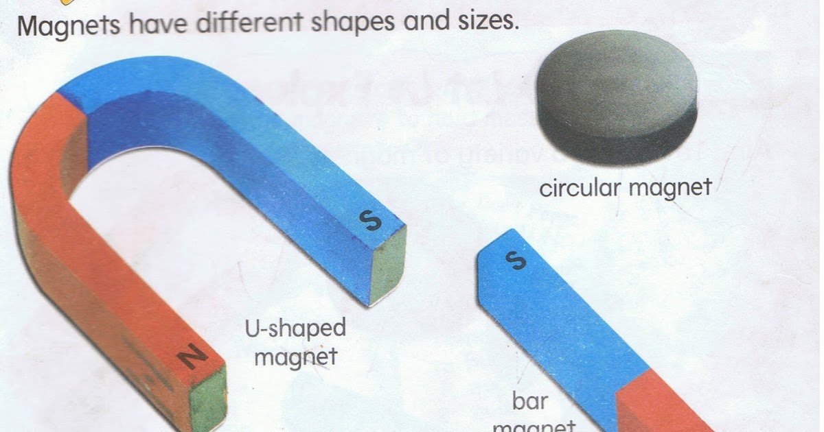 Interesting In Science Science For Year 3 have different