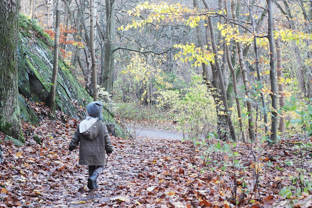 Vi tog med oss kakor och gick till skogen. 2 6 Vi tog med oss kakor och gick till skogen.